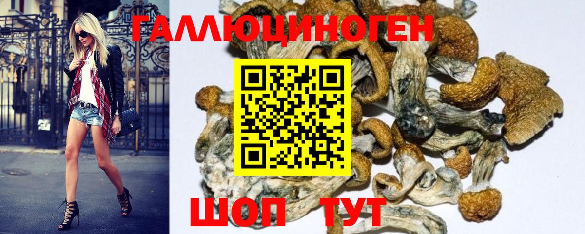 Галлюциногенные грибы мухоморы Трёхгорный