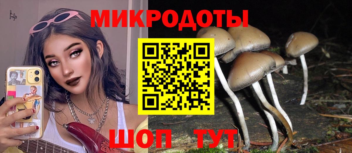 Галлюциногенные грибы ЛСД  Вход с VPN  Трёхгорный  Псилоцибиновые грибы прущие грибы 